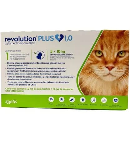 Revolution Plus 1.0 Gatos 5 a 10 kg