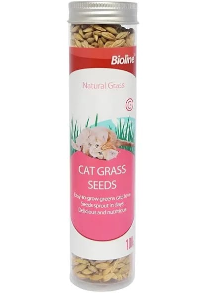 Bioline Semillas de Catnip