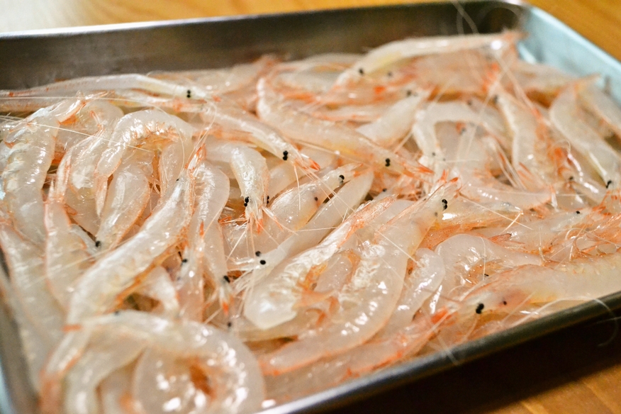 ホタルイカがピークです!白エビ・山菜・筍も入荷中!