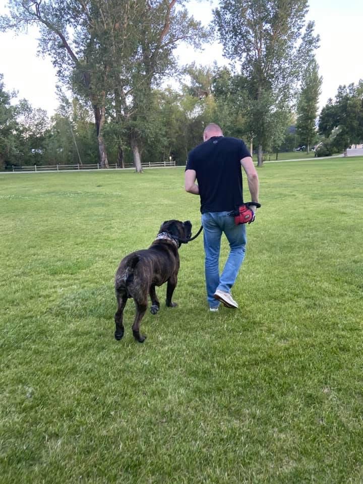 The author and the real Romulus