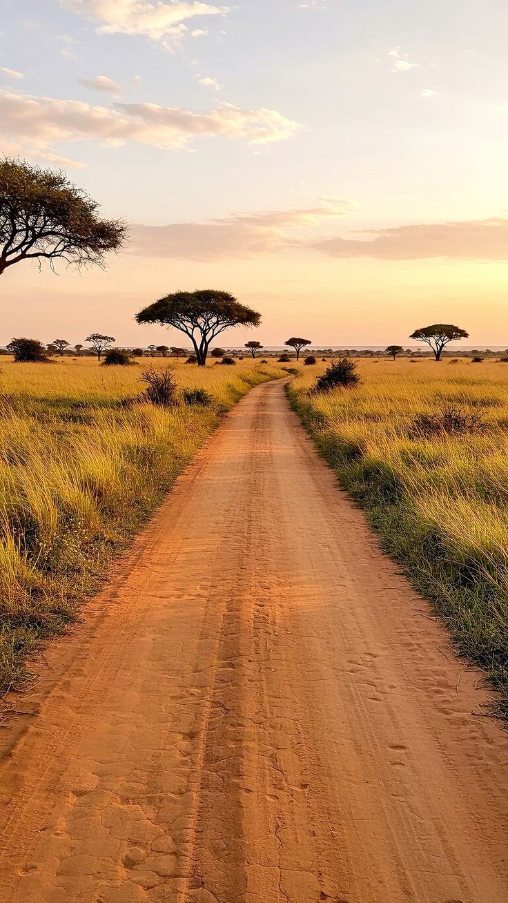 Savannah landscape