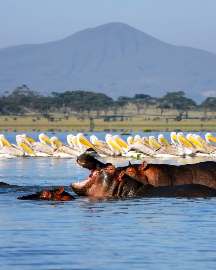 Kenya and Tanzania tour