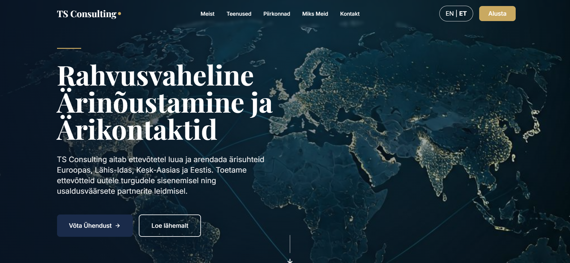 TS Consulting veebilehe näidis