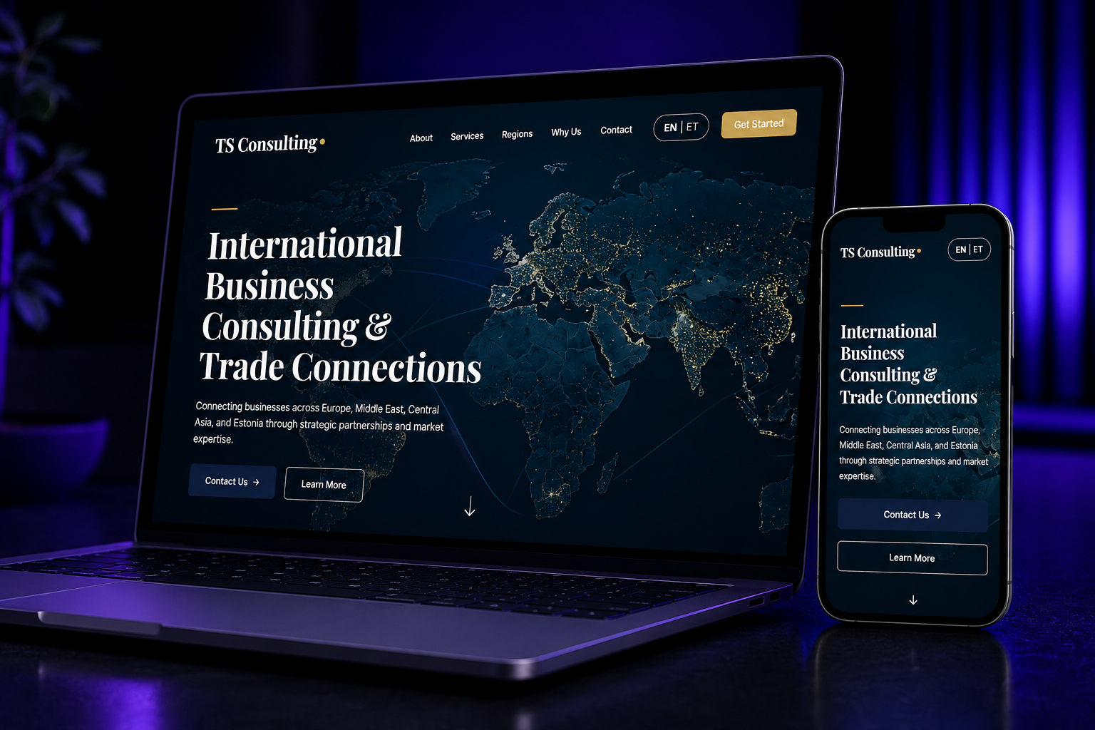 TS Consulting website mockup