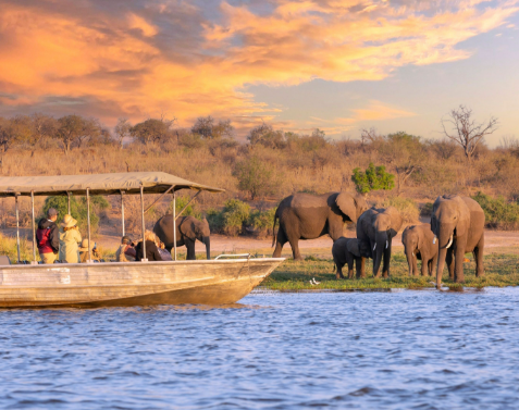 The Chobe, Southern Africa