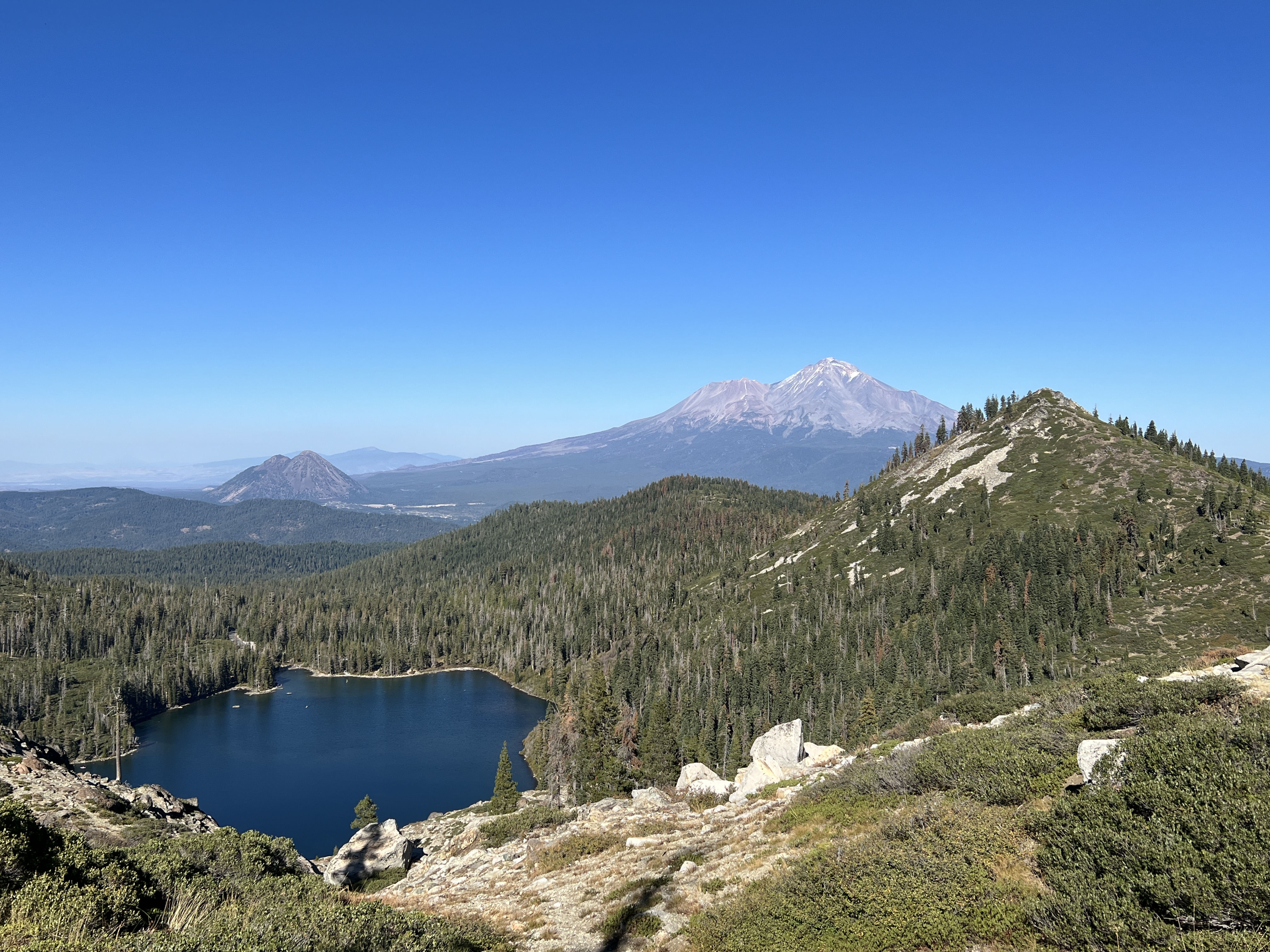 Mount Shasta majestic volcanic peak with snow-capped summit rising above pine forests under golden hour sky