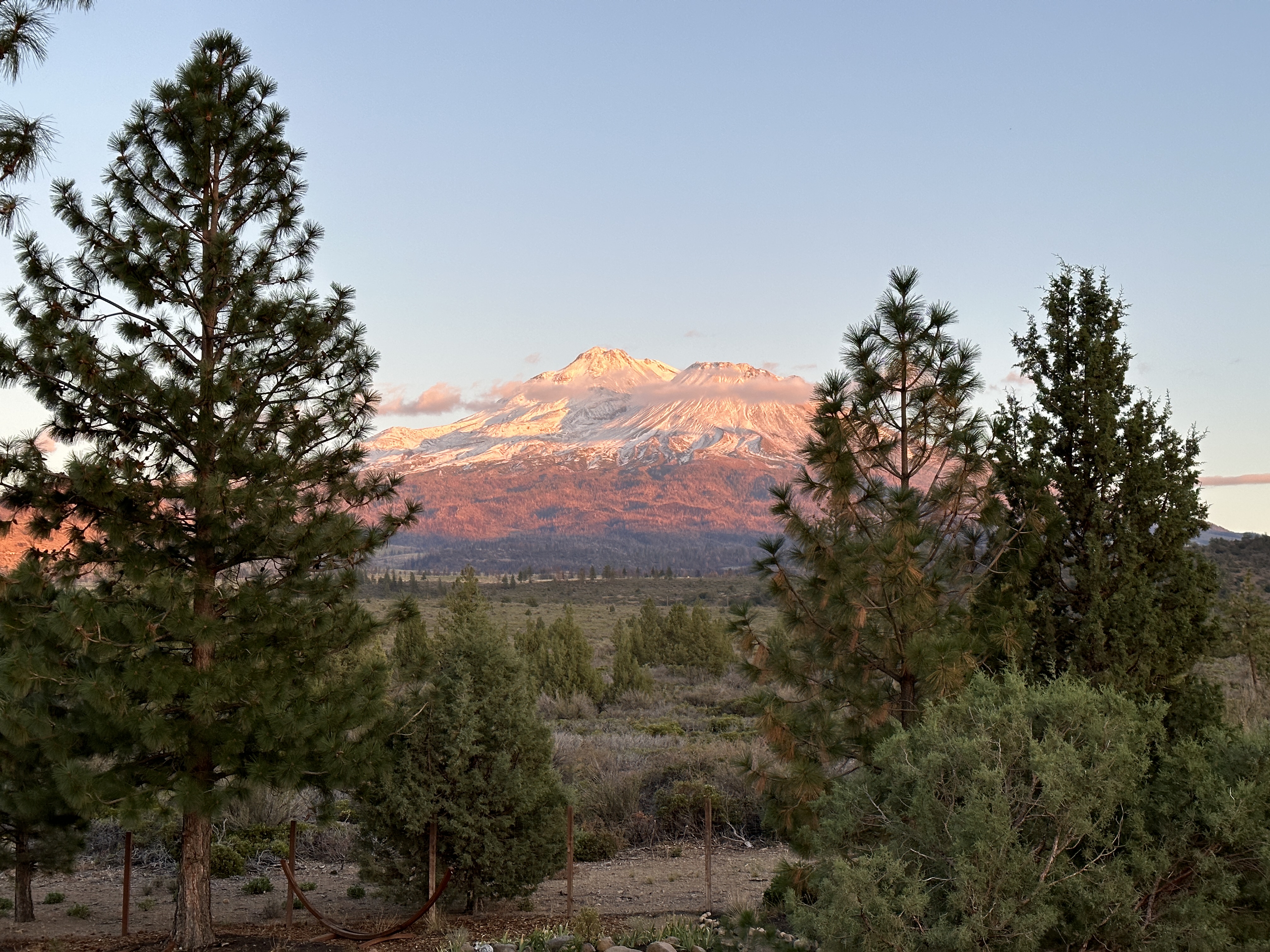 Mount Shasta landscape with alpine meadows and volcanic peak