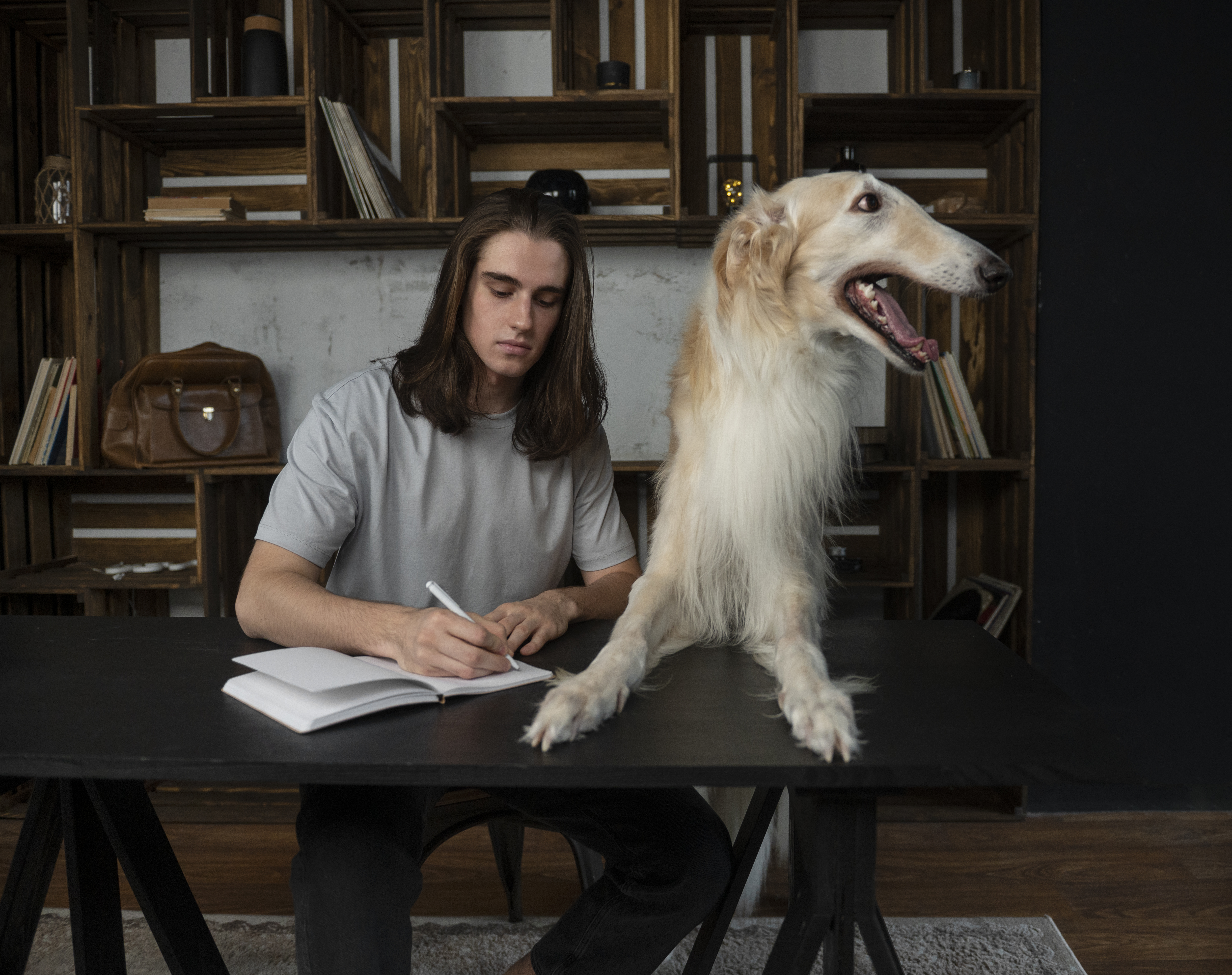 How to Request ESA Accommodation from University in 2026