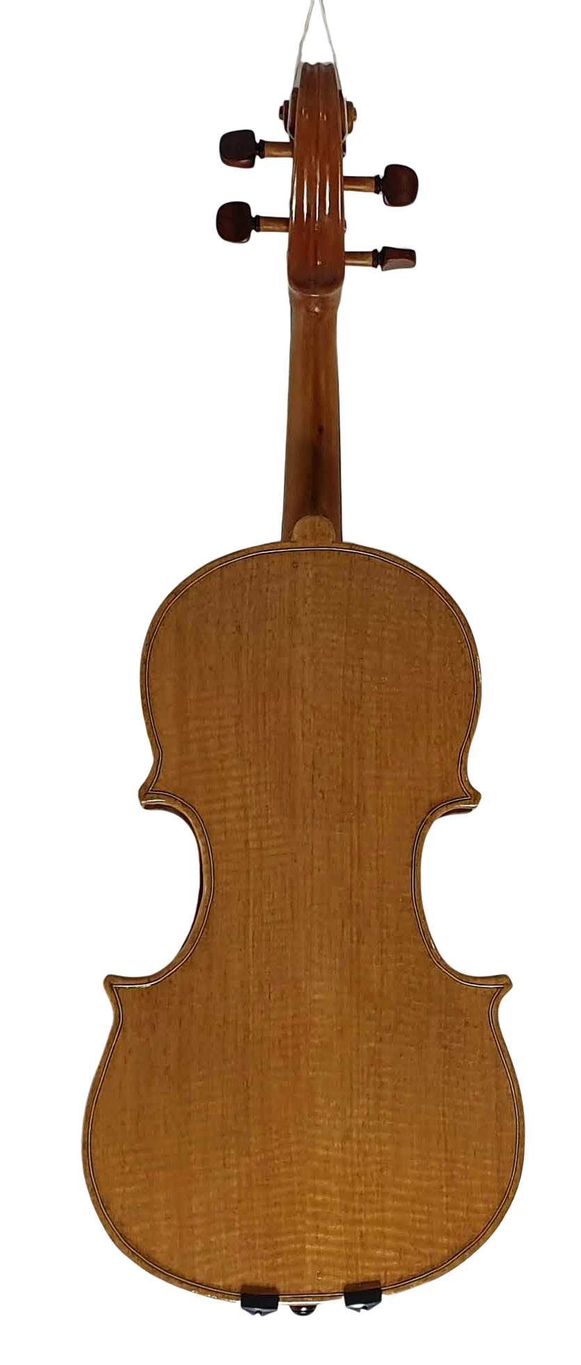 Viola (3) — back