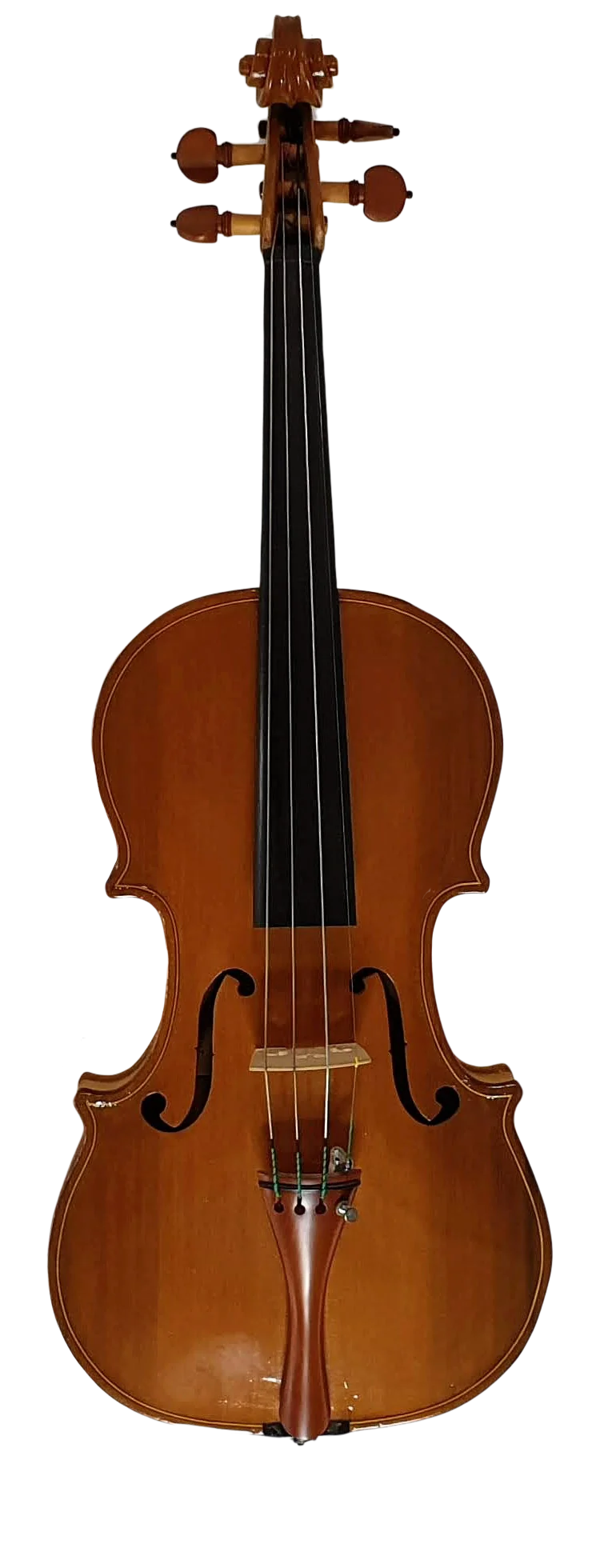 Violin (14)