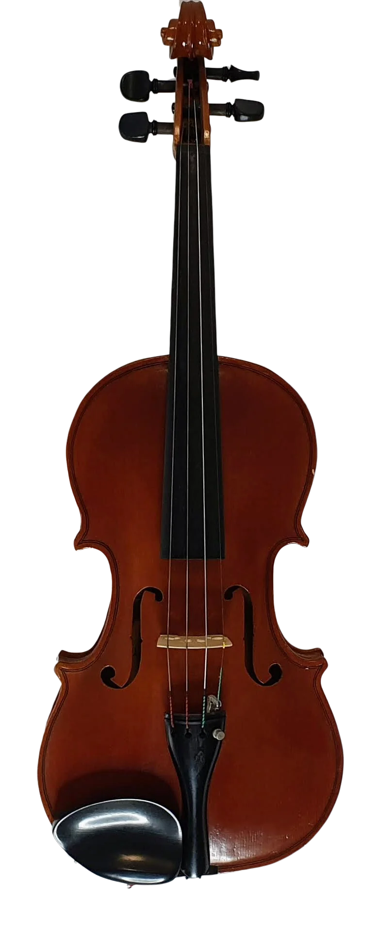 Violin (31)