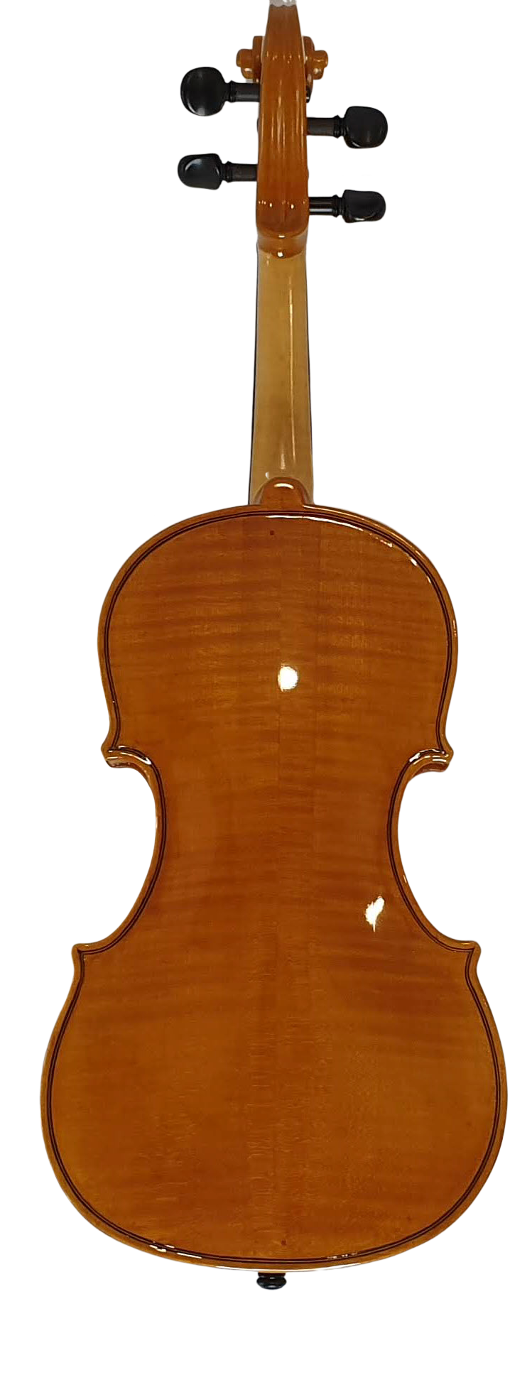 Viola (5) — back