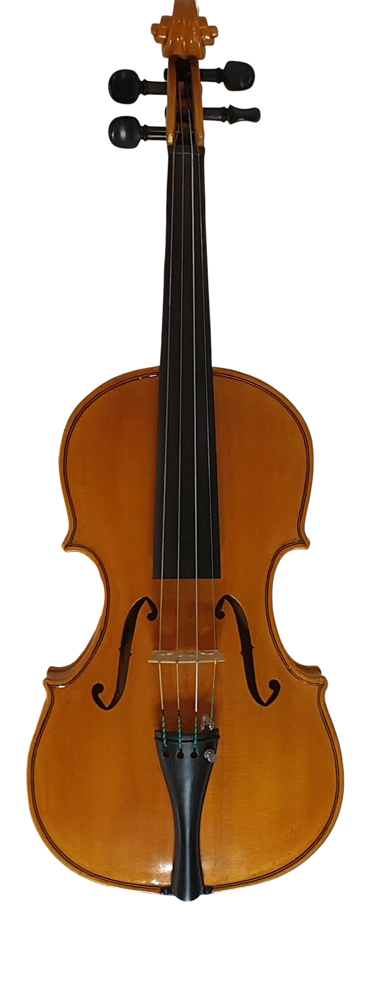 Viola (5)