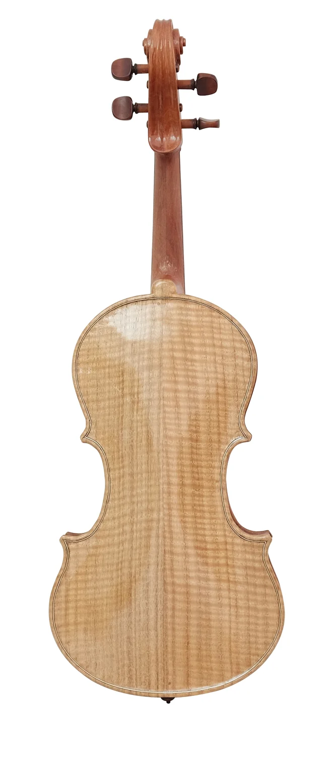 Viola (8) — back
