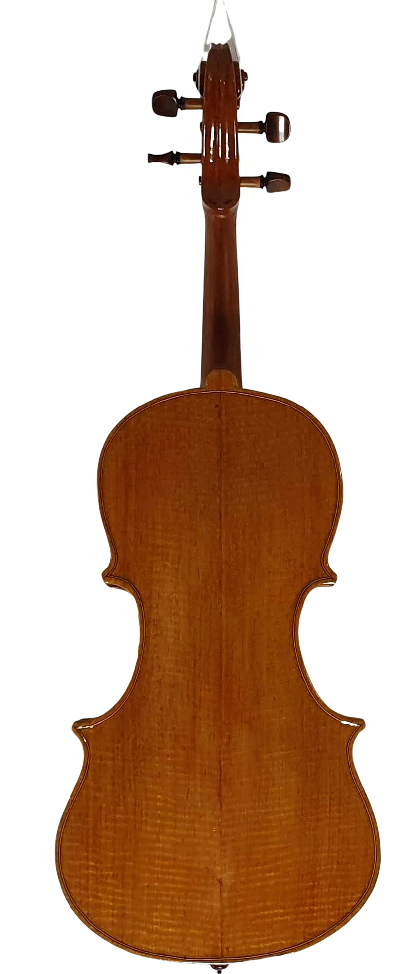 Viola (4) — back
