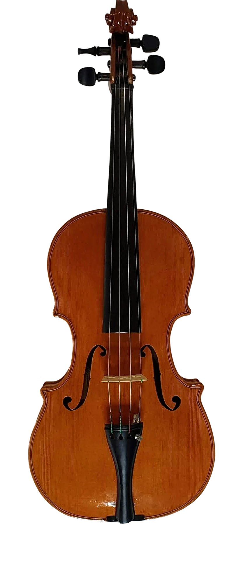 Violin (16)