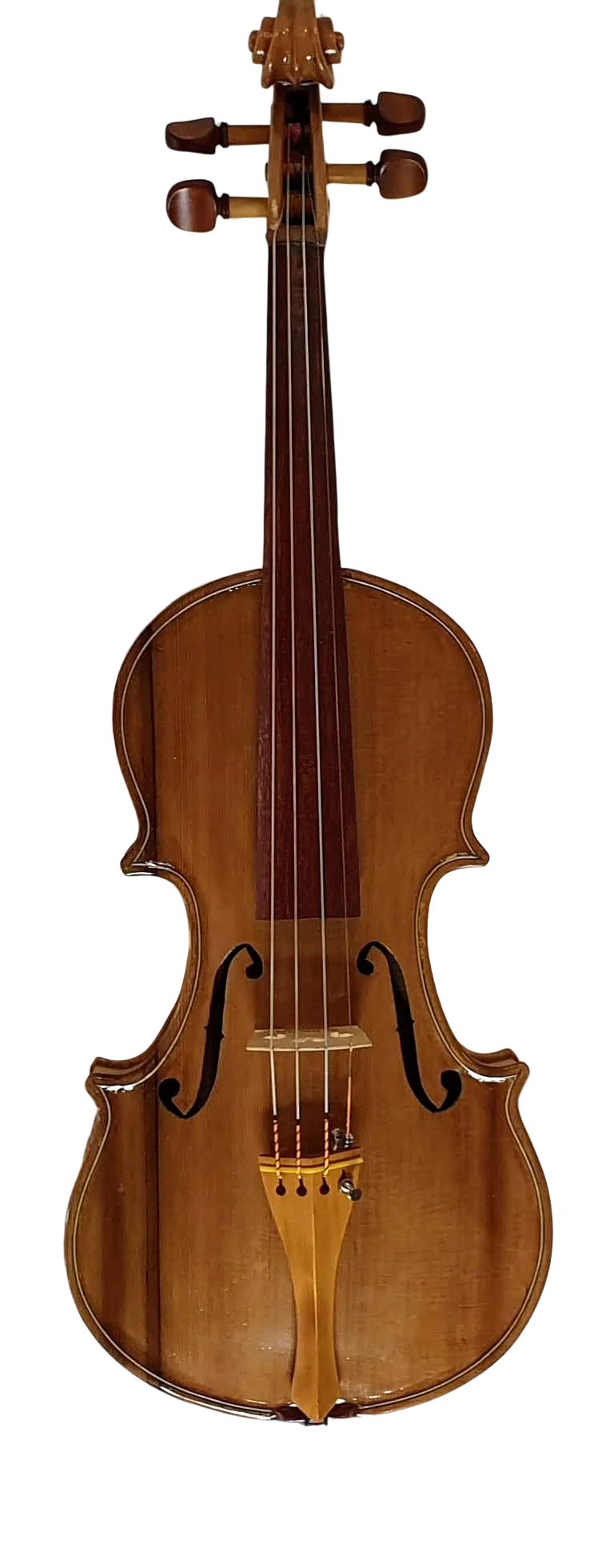 Violin (7)