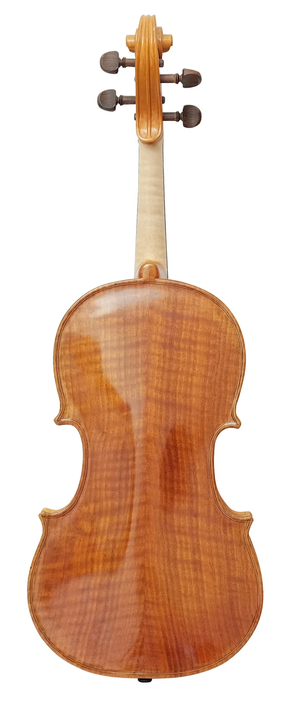 Viola (10) — back