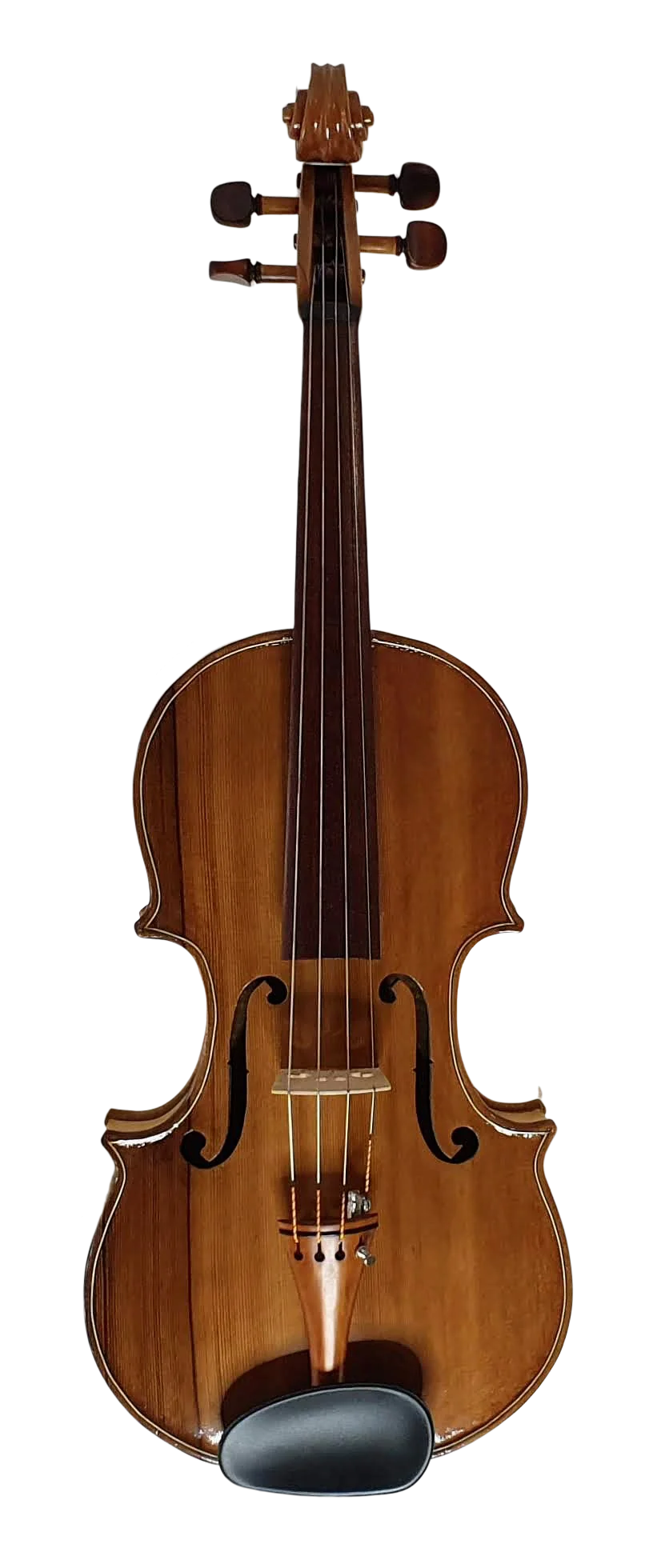 Viola (3)