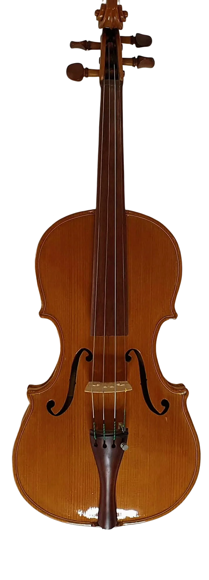 Violin (9)