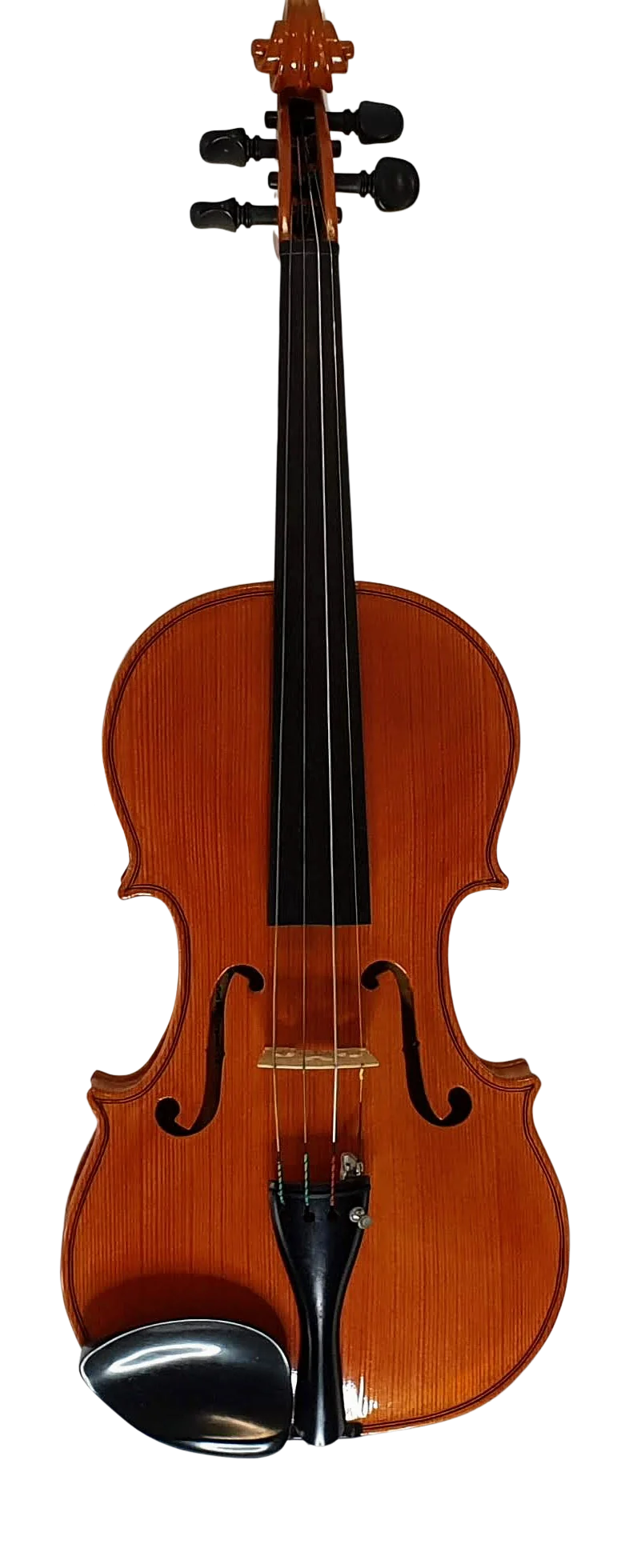 Violin (10)