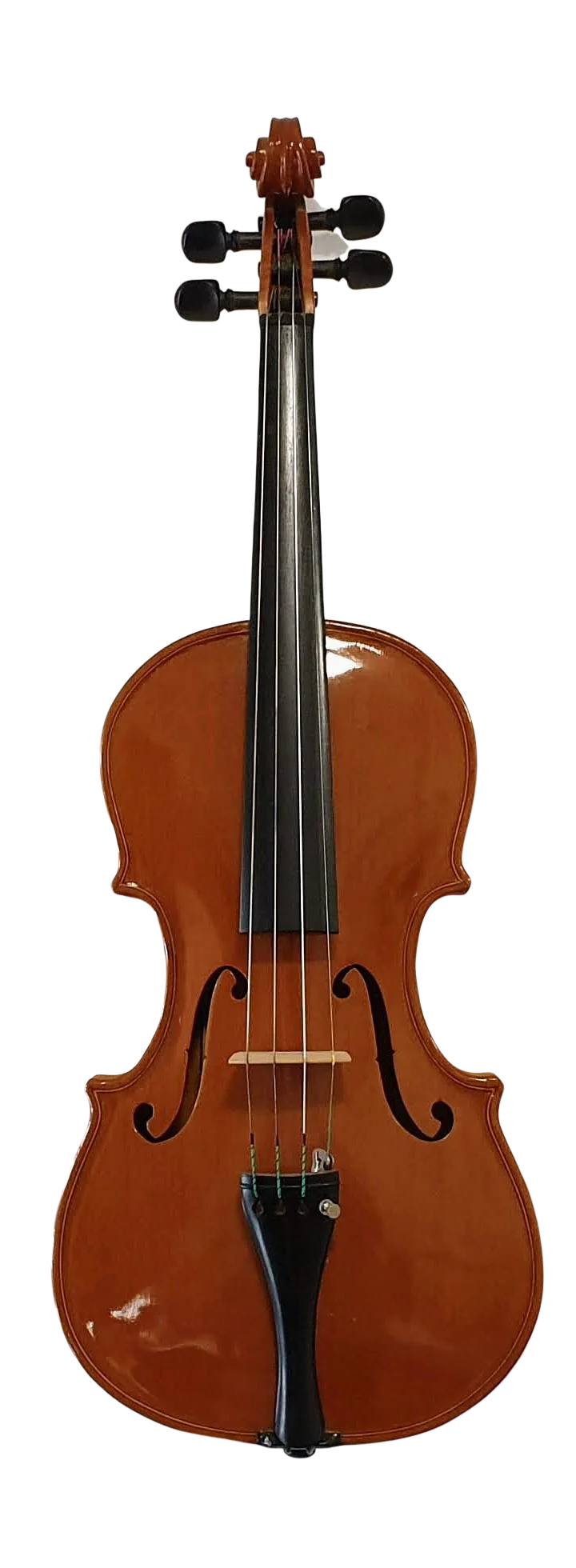 Violin (1)