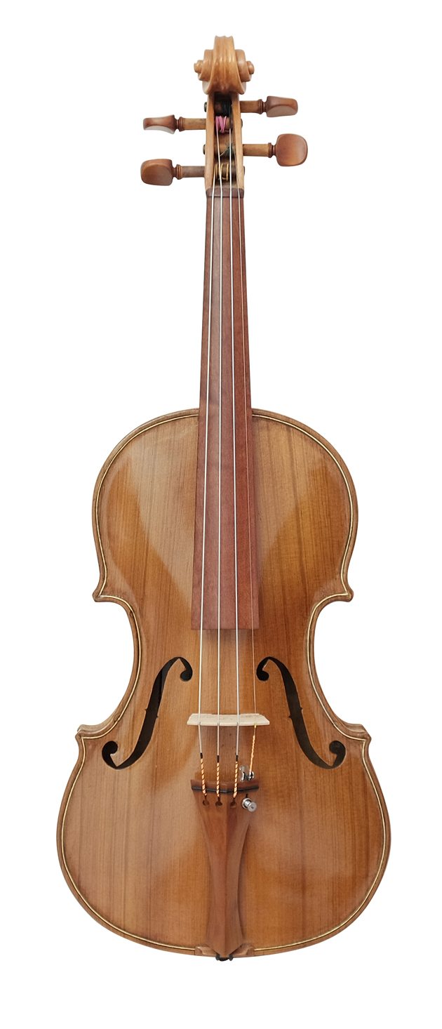 Violin (15)