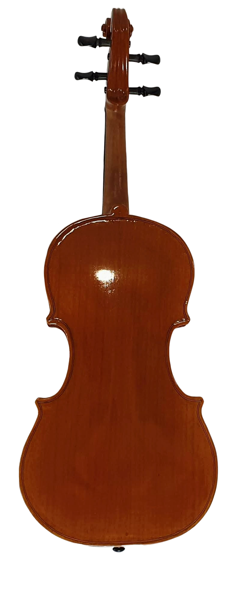 Violin (1) — back
