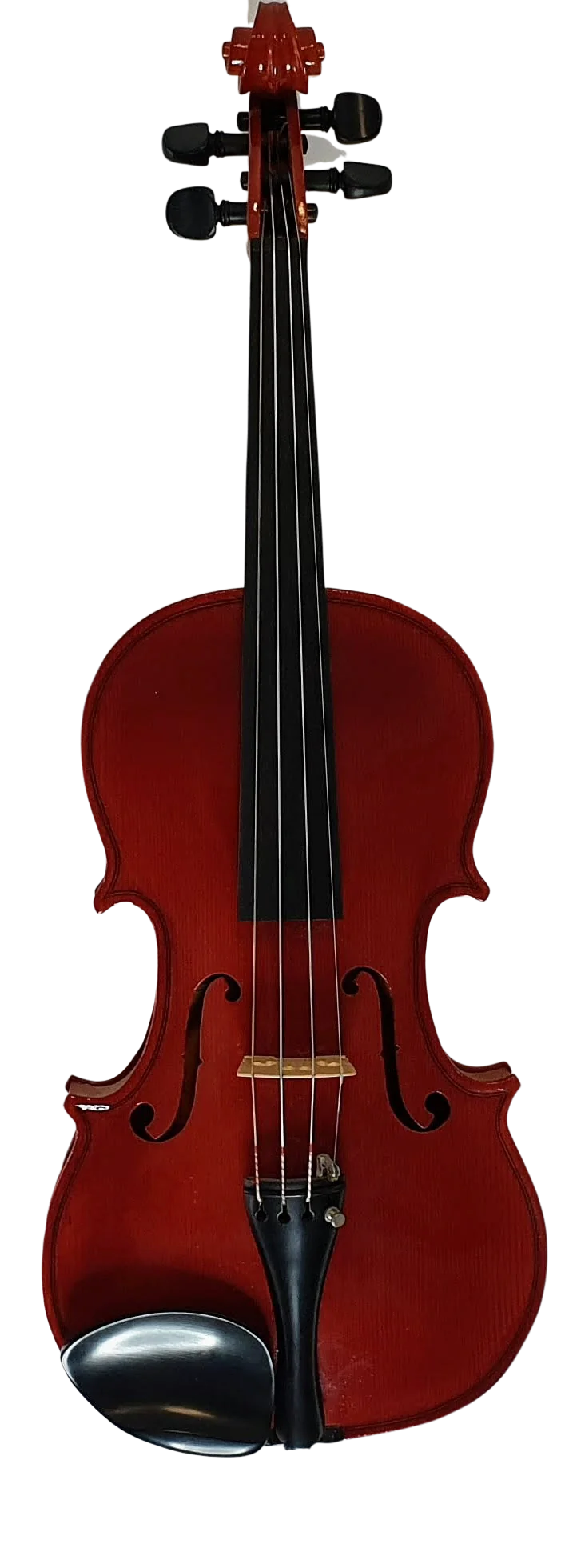 Violin (25)