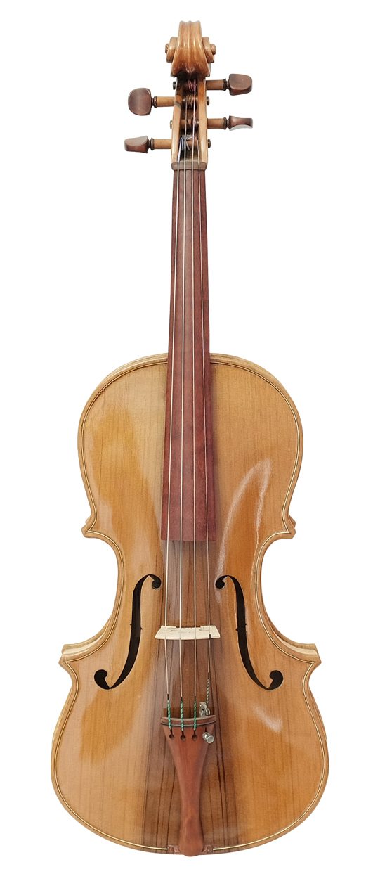 Viola (9)