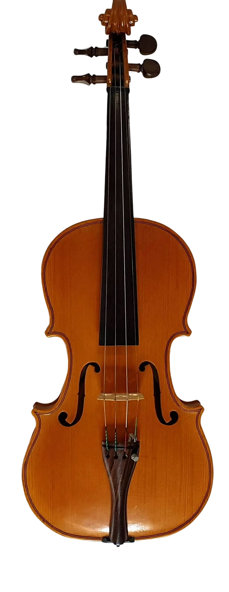 Violin (6)