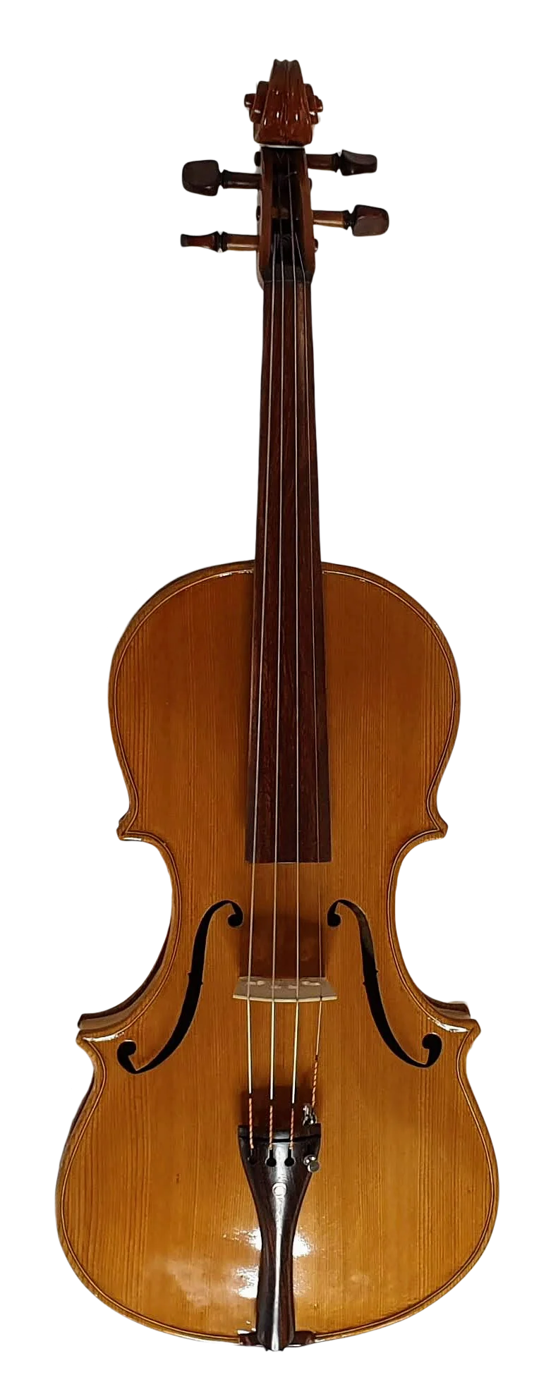 Viola (4)