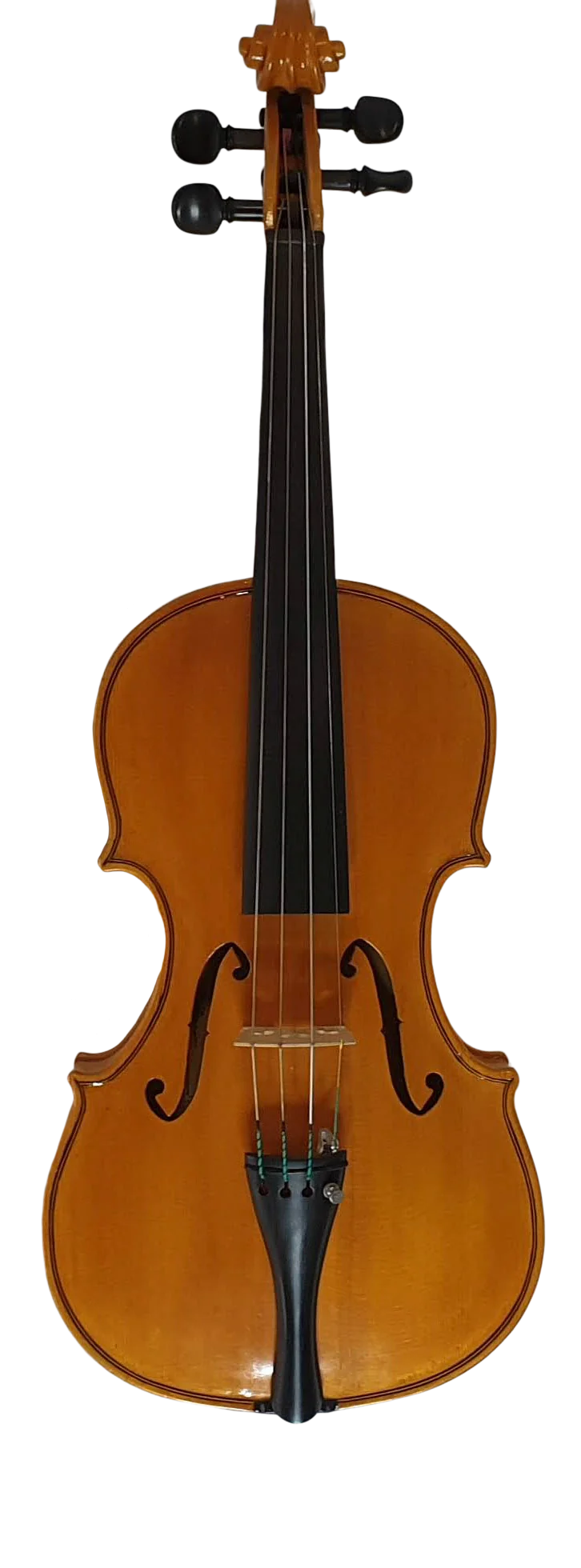 Violin (5)