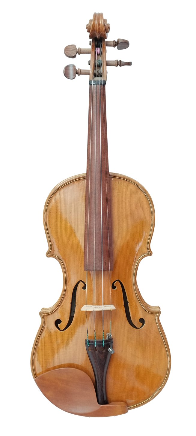 Violin (24)