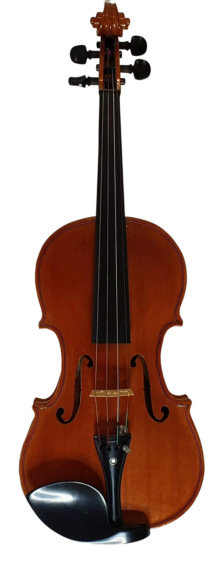 Violin (2)