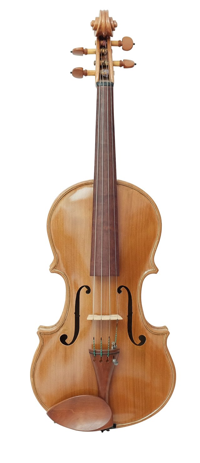 Viola (7)
