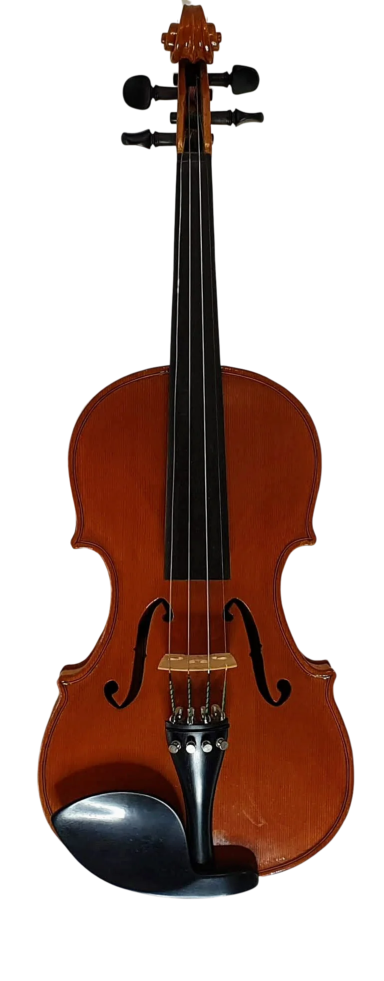 Violin (18)
