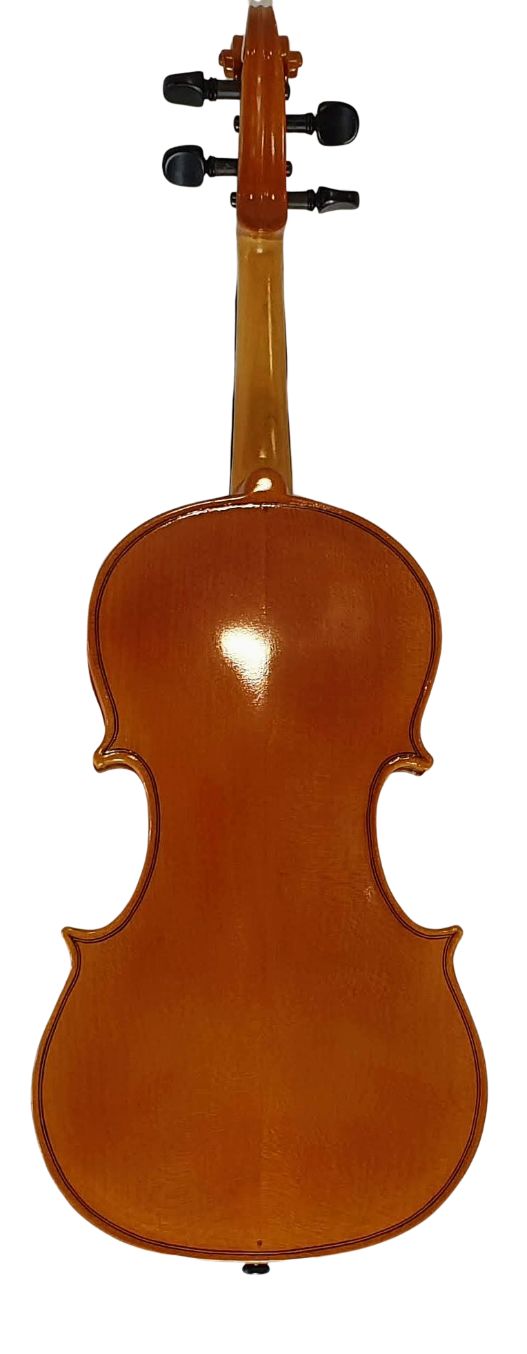 Violin (8) — back