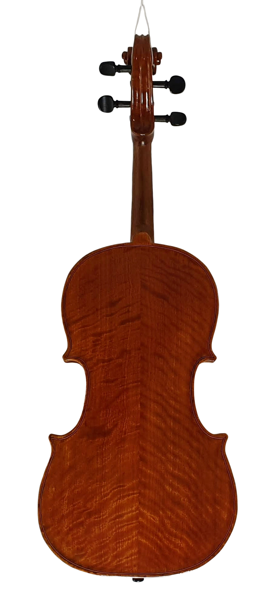 Viola (6) — back
