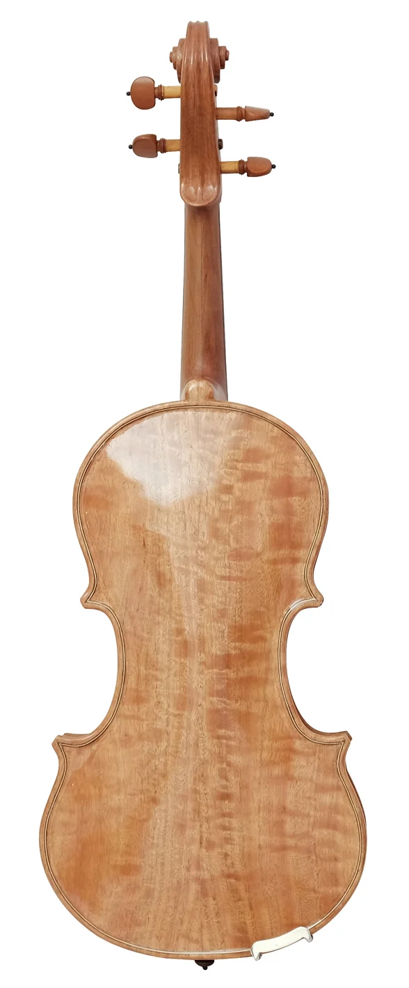 Viola (7) — back