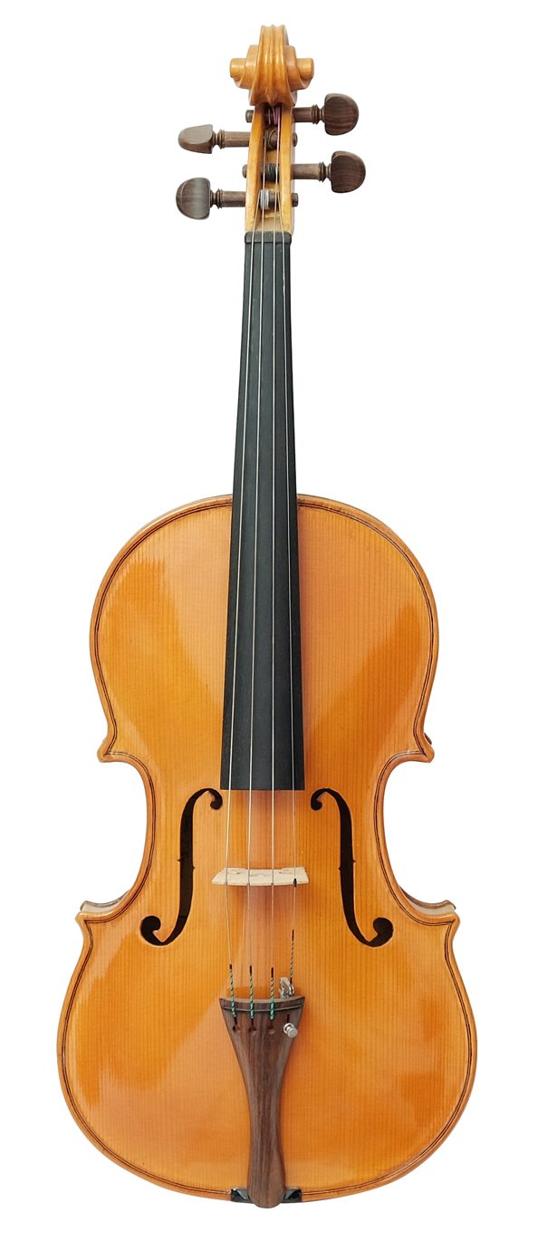Viola (10)