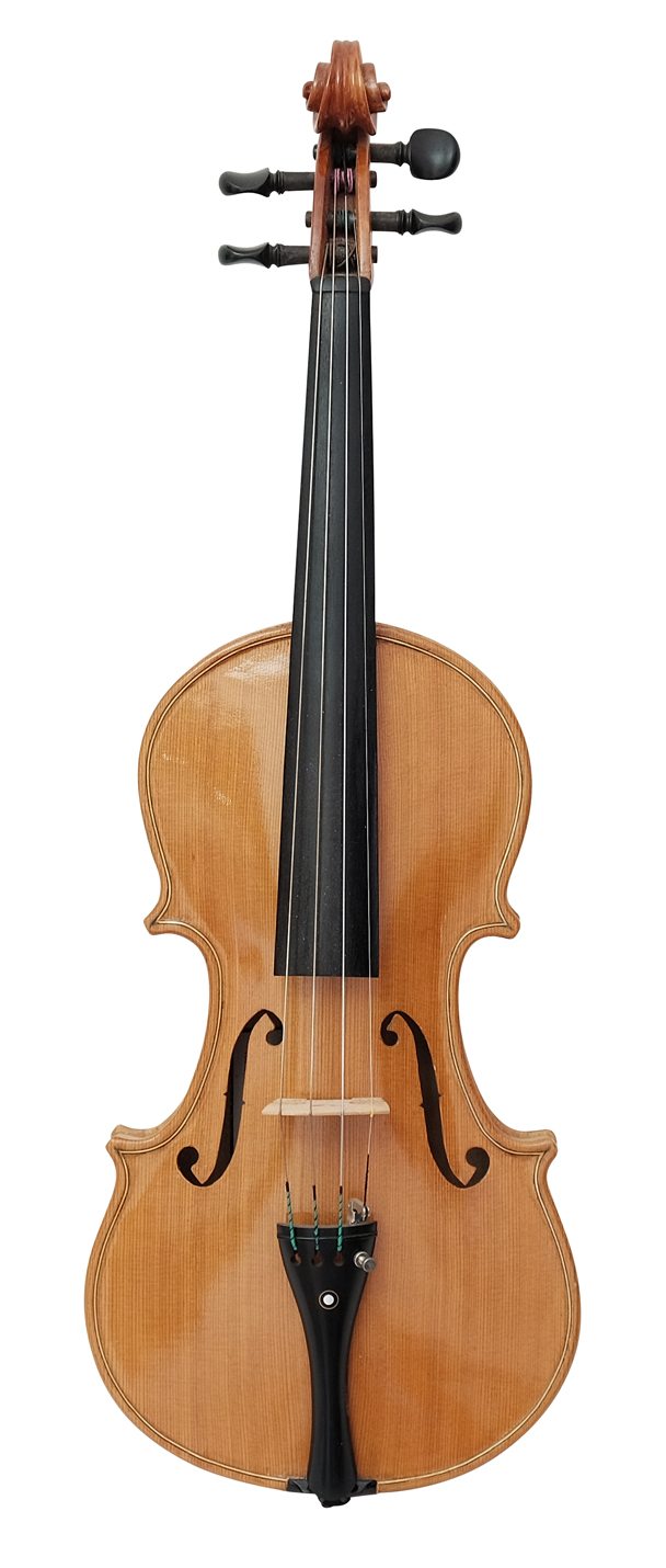Violin (17)