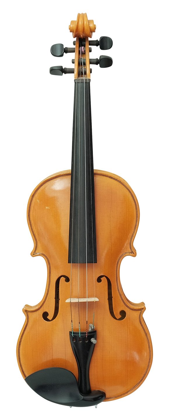 Violin (29)