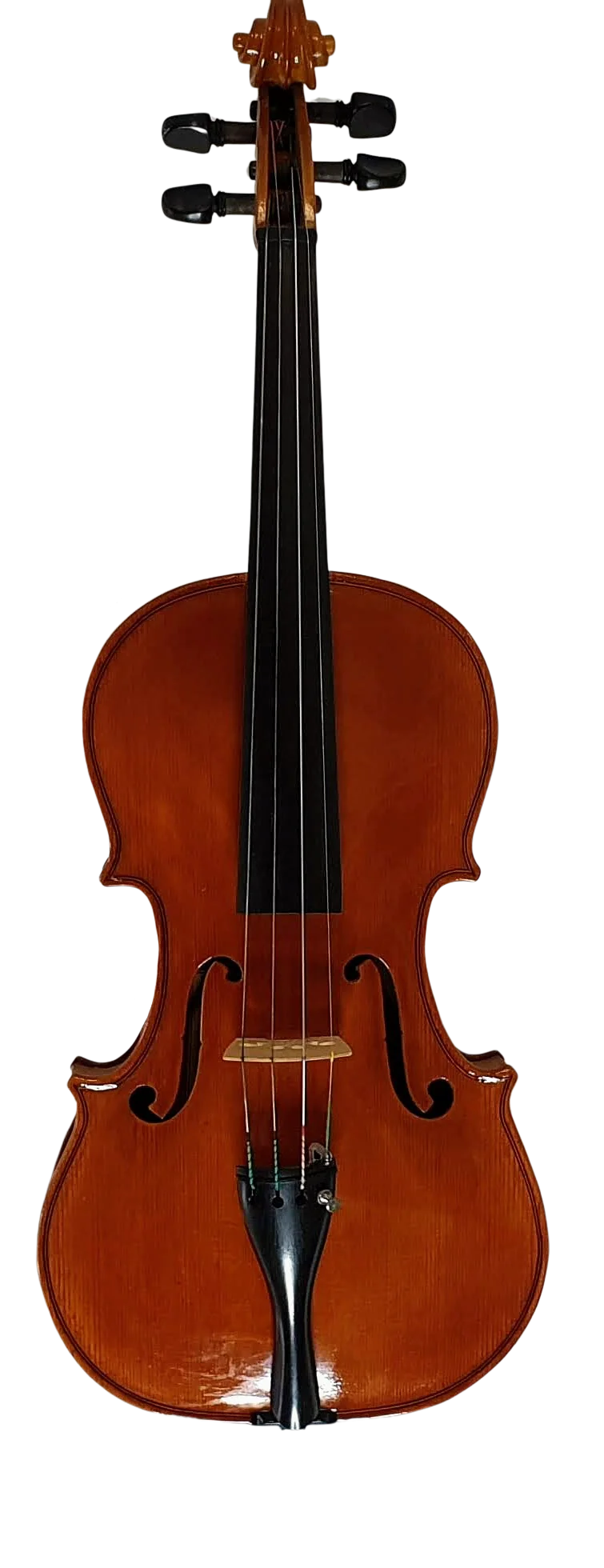 Violin (11)