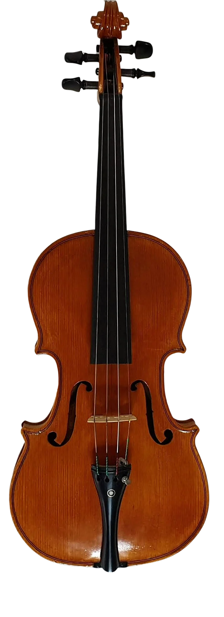 Violin (23)