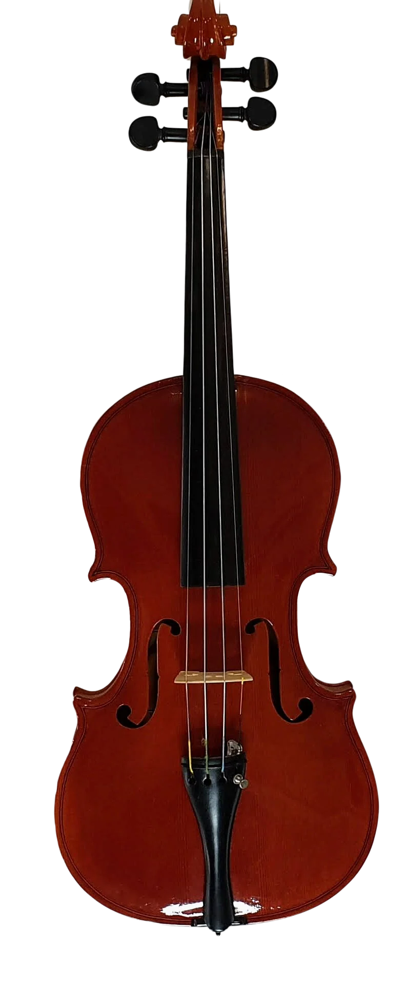 Violin (12)