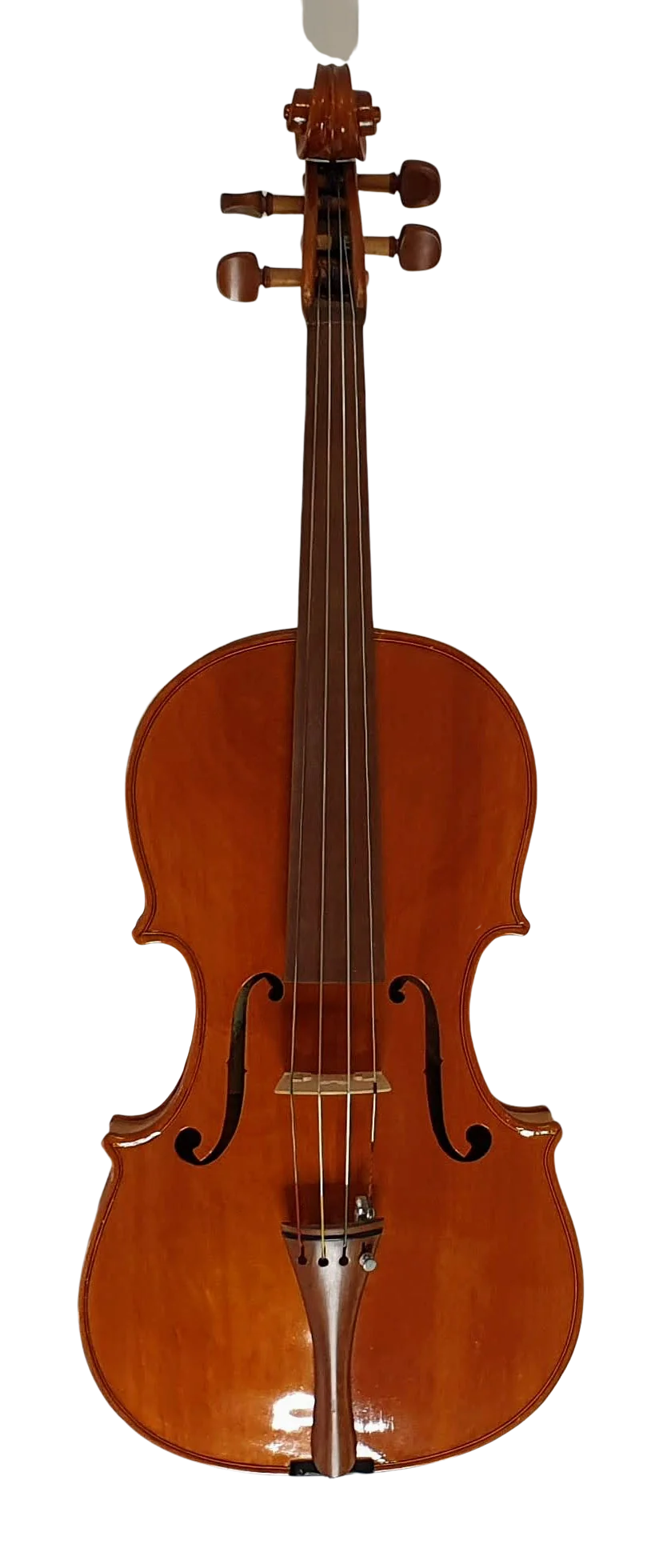 Viola (1)