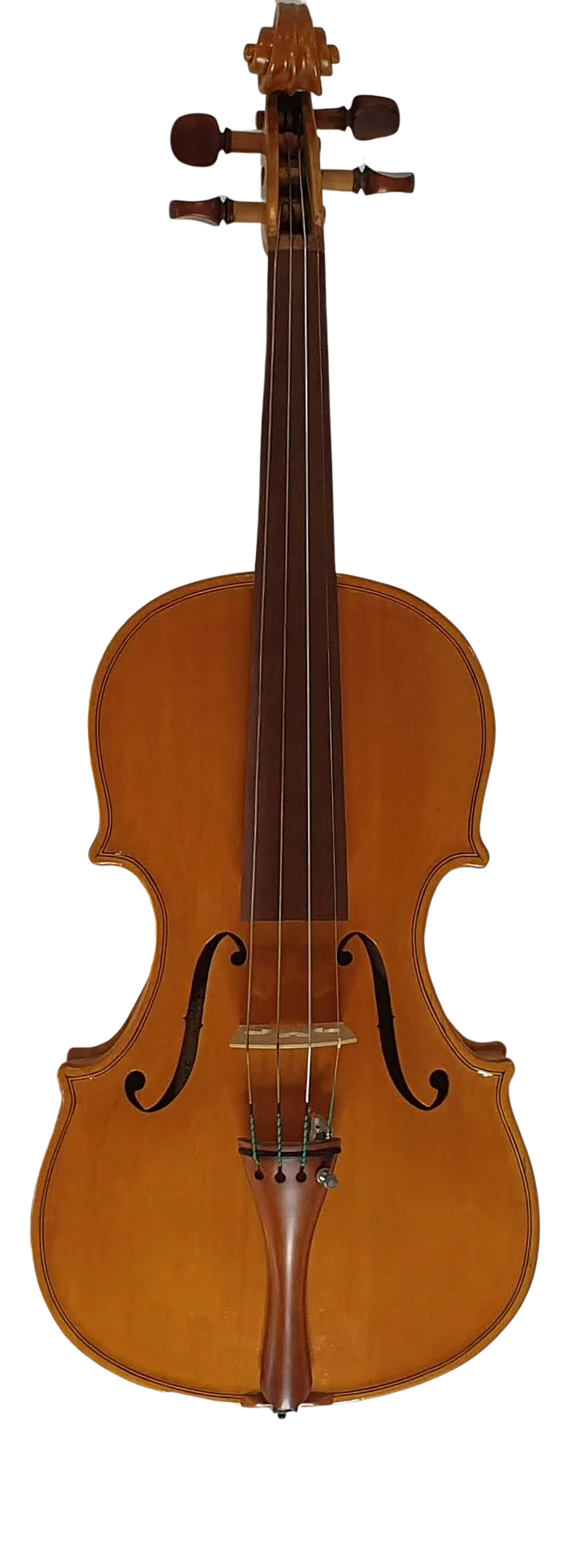 Violin (20)