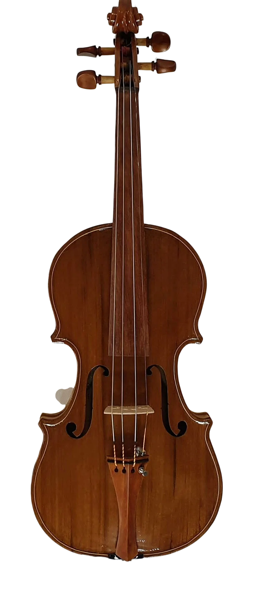 Violin (28)