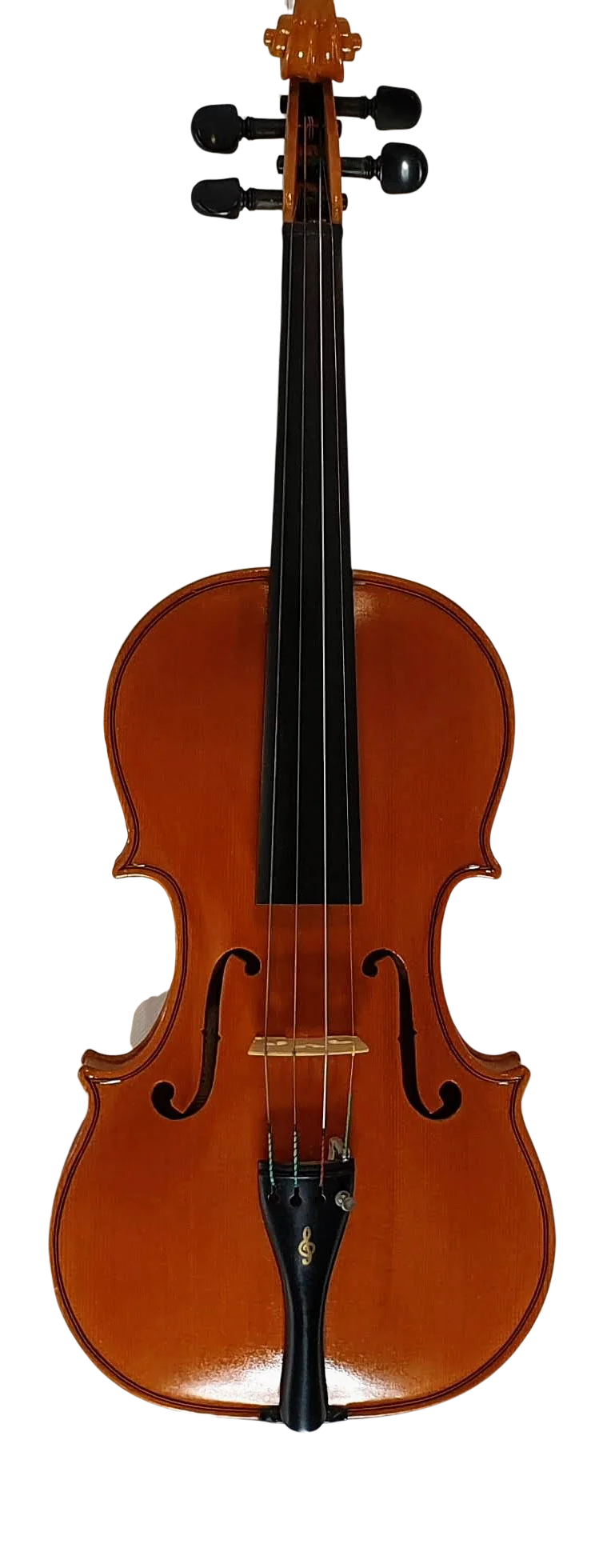 Violin (30)